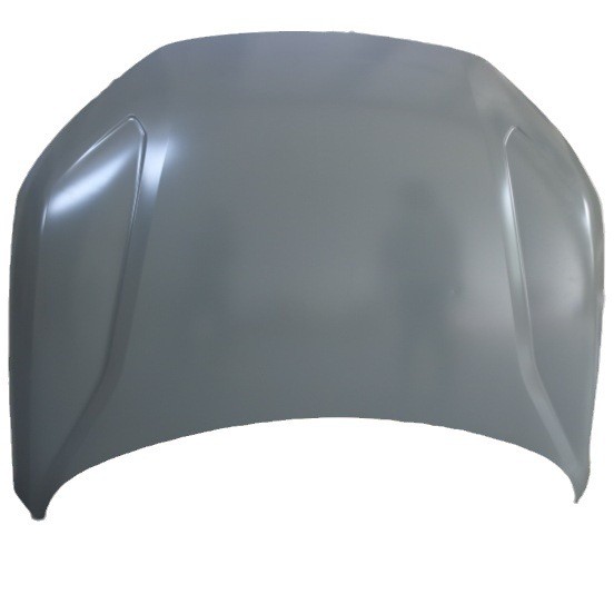 FIT FOR BYD E9 HOOD