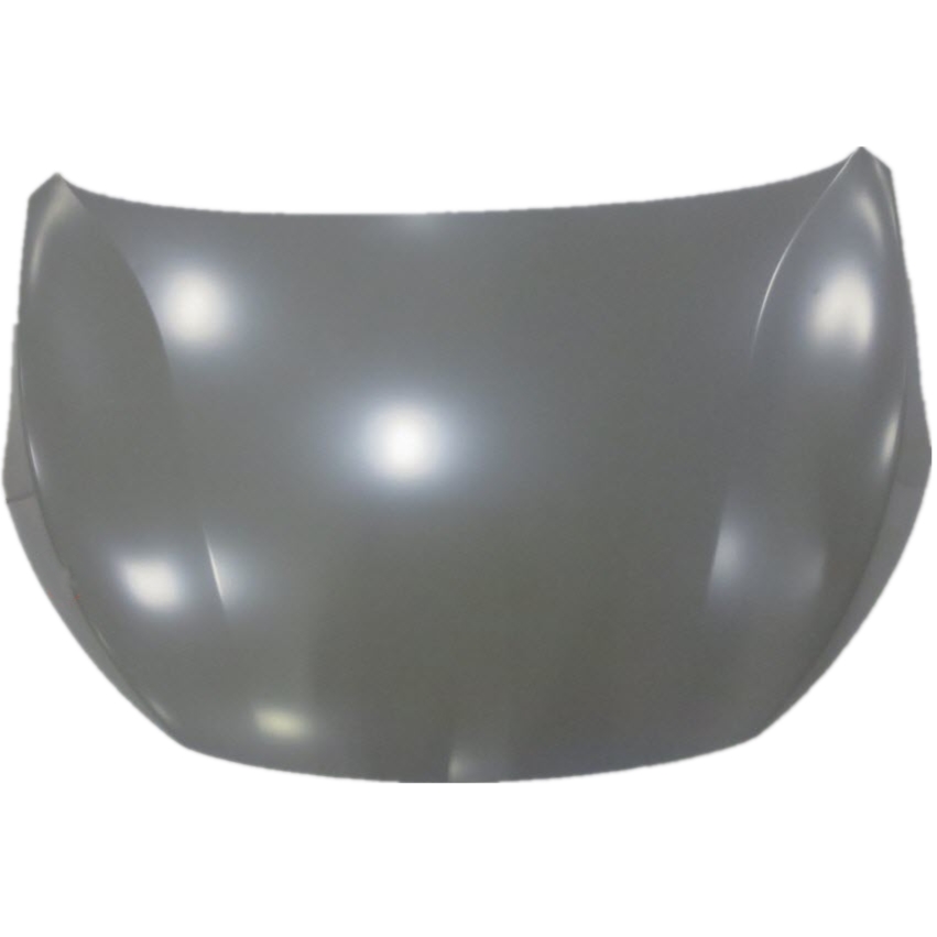 FIT FOR BYD E6 HOOD